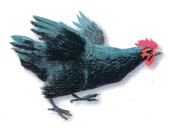 Texas Go Math Grade 1 Lesson 5.2 Answer Key 2 – Go Math Answer Key