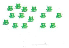 Texas Go Math Grade 1 Unit 1 Answer Key 2 – Go Math Answer Key