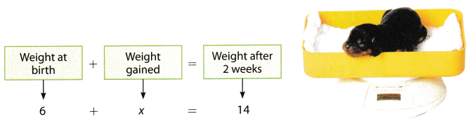 Texas Go Math Grade 6 Lesson 12.2 Answer Key Addition and Subtraction ...