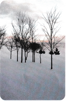 Texas Go Math Grade 6 Lesson 13.2 Answer Key Addition and Subtraction ...