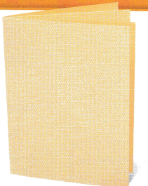 Texas Go Math Grade 6 Module 12 Answer Key Equations and Relationships ...