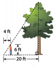 Texas Go Math Grade 8 Lesson 7.3 Answer Key 13 – Go Math Answer Key